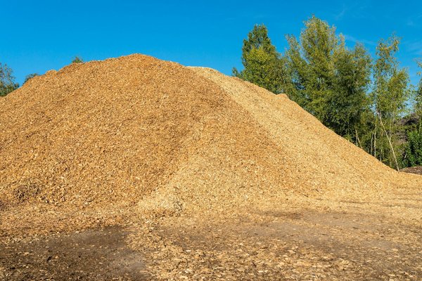 Energie, biomasse : le futur durable de l'économie verte